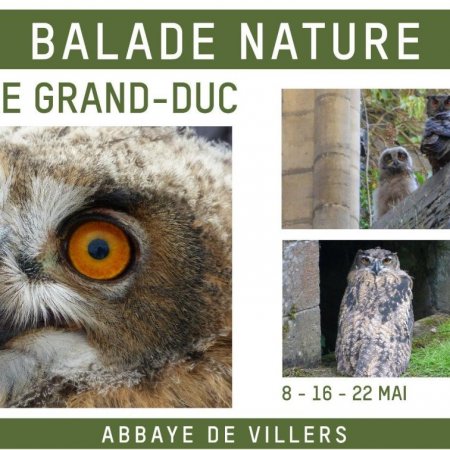 Balade nature spéciale Grand-Duc